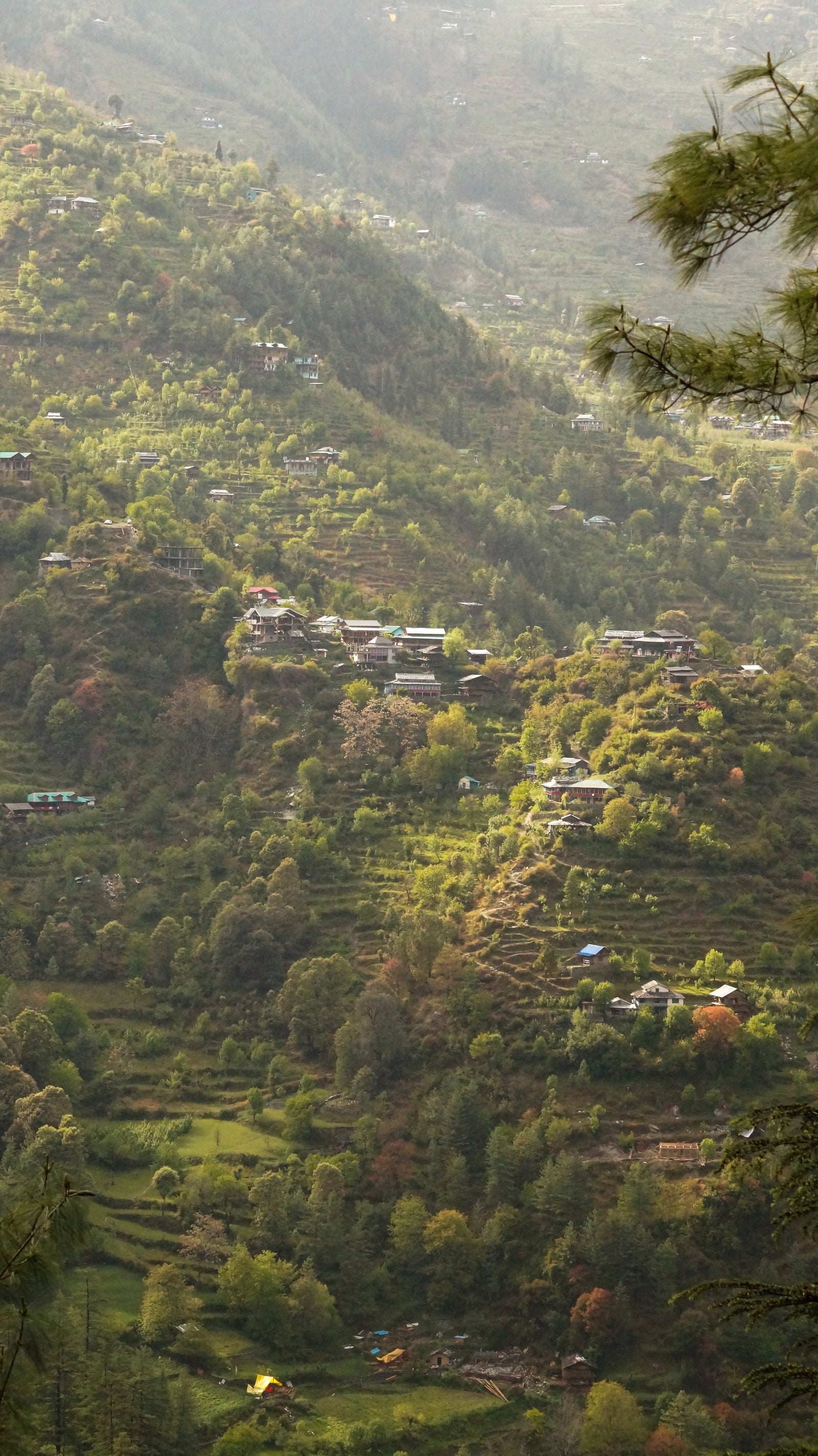 Tosh Village
